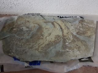 Pizarra grande para acuario
