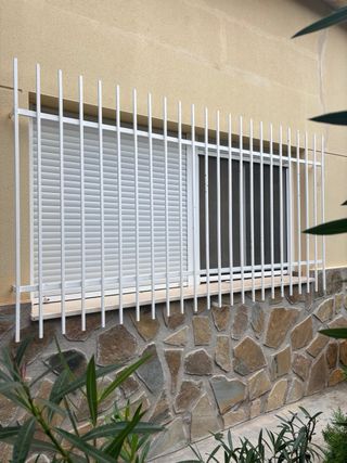ventana mas reja de protección