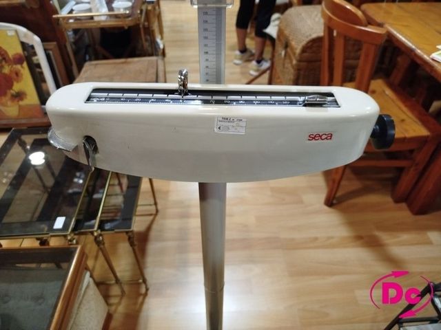 Báscula Médica SECA: Profesional