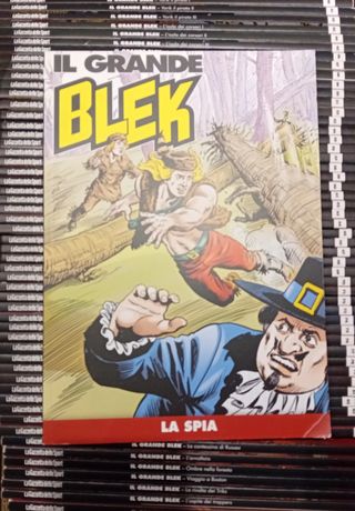 Fumetti Il Grande Blek da 1 a 97
singoli o blocco