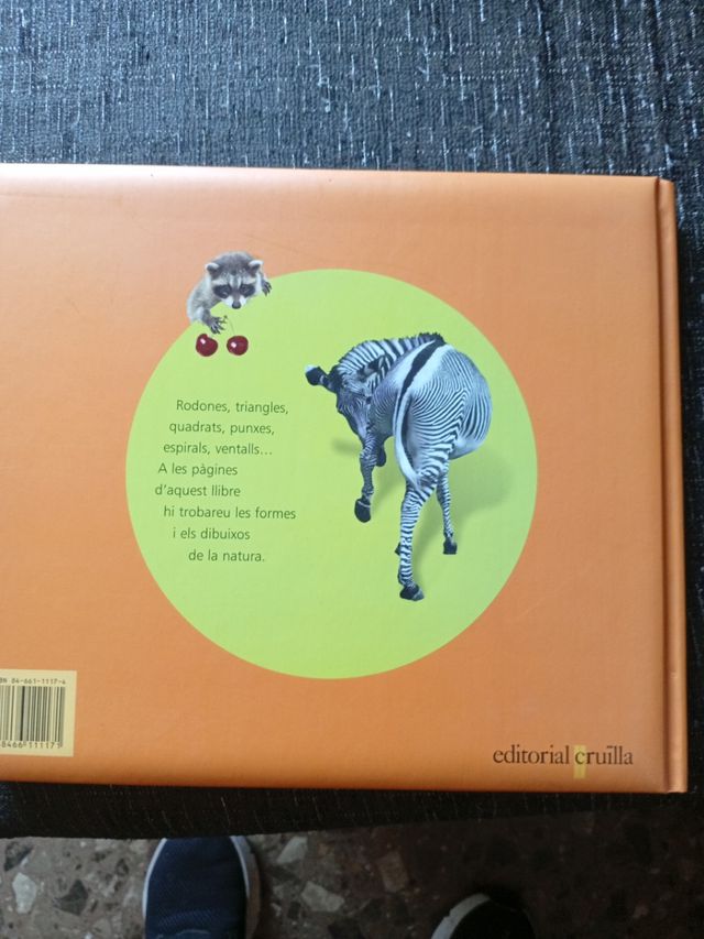 Formes i dibuixos de la natura