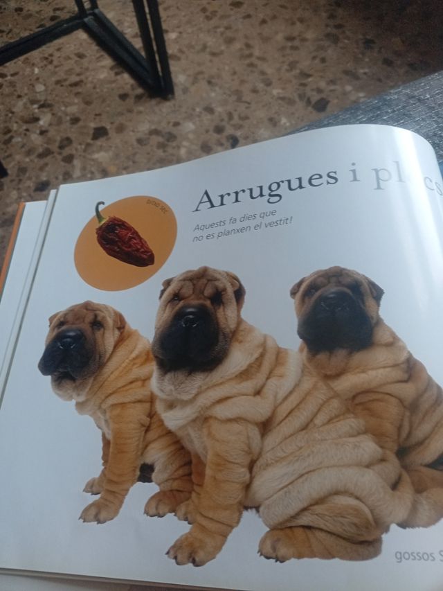 Formes i dibuixos de la natura