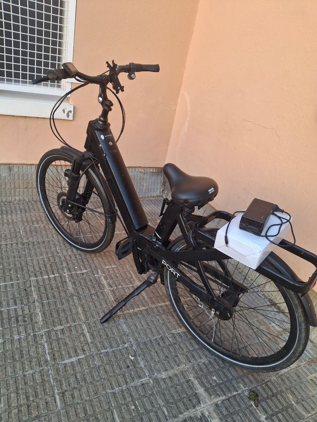 Bicicleta elettrica