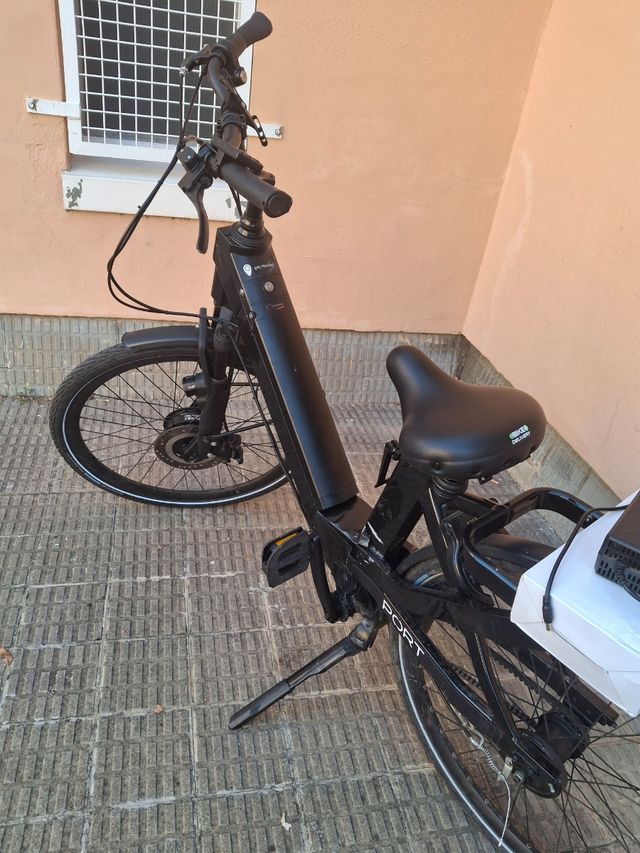 Bicicleta elettrica