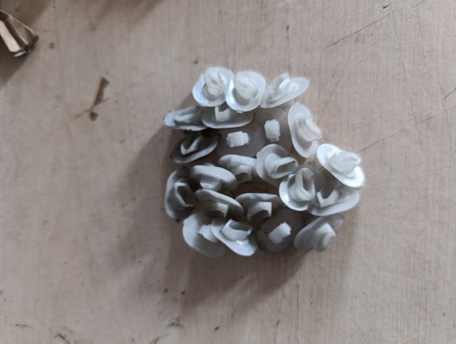 Grapas molduras Clio