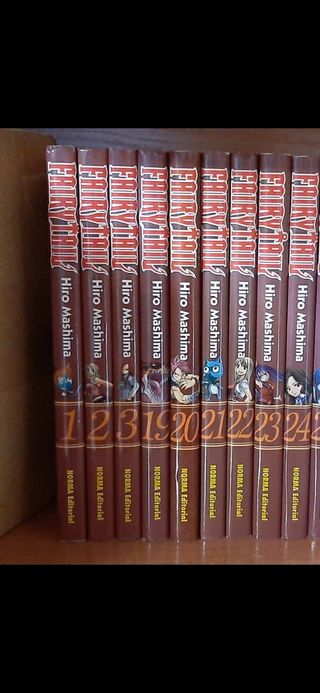 Cómics manga Fairy Tail 1,2,3,19,20,21,22,23,24