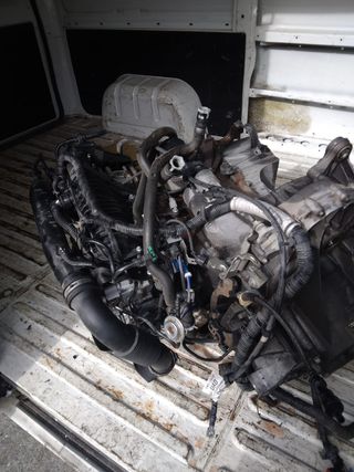Despiece motor ford focus 1.0 M1DA
