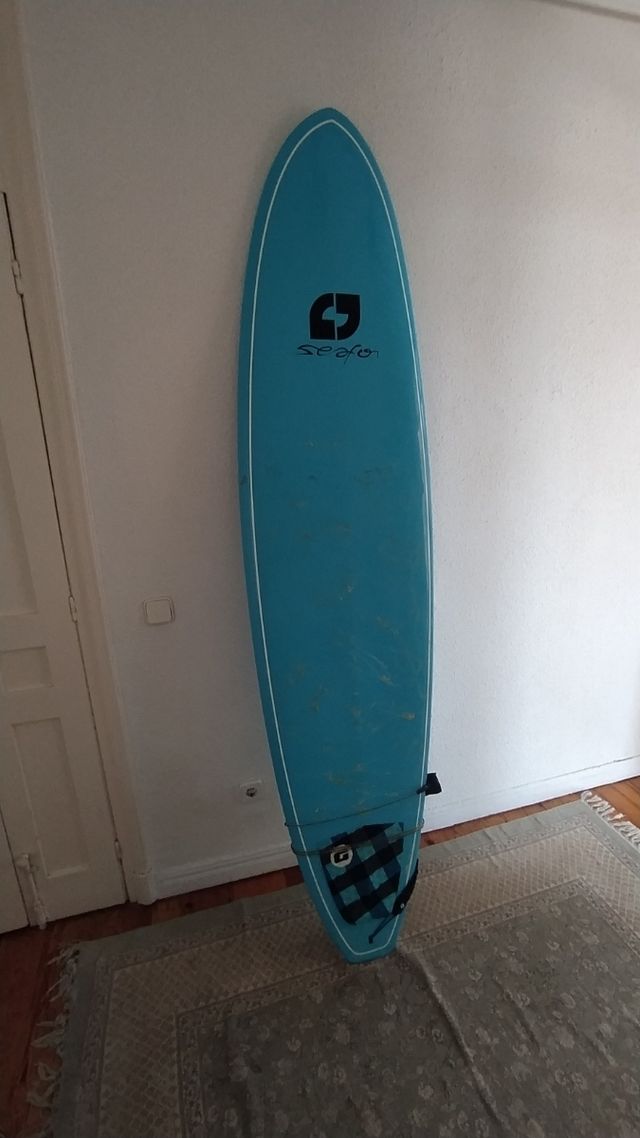 Tabla de surf evolutiva