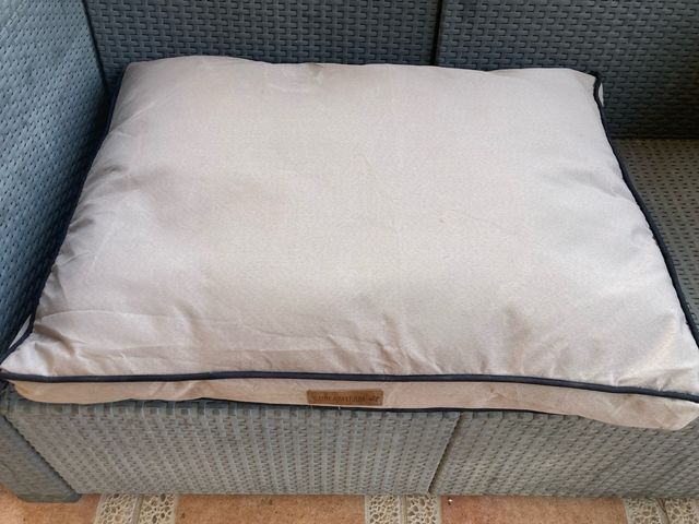 Cama perro beige DreamTeam