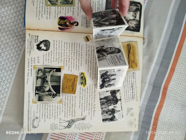 Ripley: en busca de los cazadores de cabezas y ...