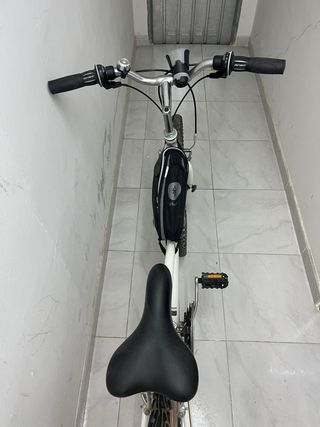 Bicicleta montaña blanca