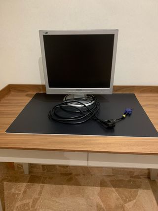 Monitor Philips 170S