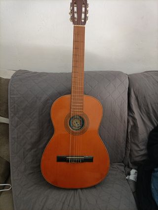 Guitarra clásica Francisco Esteve