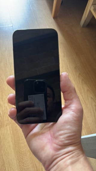 iPhone 12 Pro Max 256GB - Plata