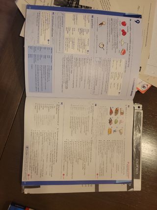 A1/A2