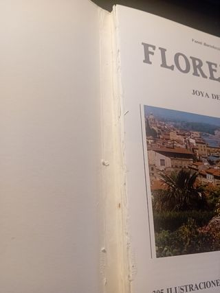 Florencia. Joya del arte.  1989