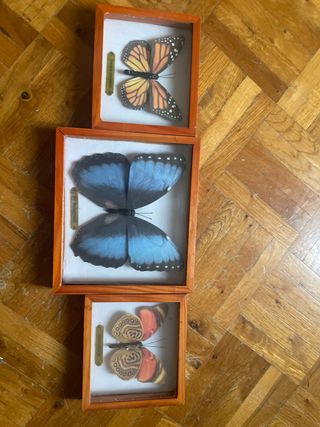 3 Quadretti Farfalle di carta