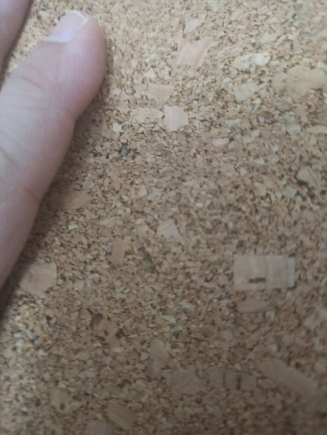 Rotolo di sughero autoadesivo