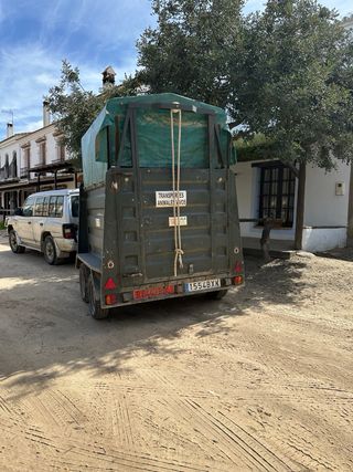 Remolque caballos - usado matricula roja