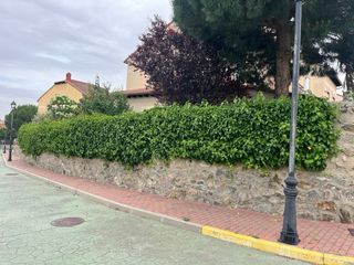 Jardinero.
