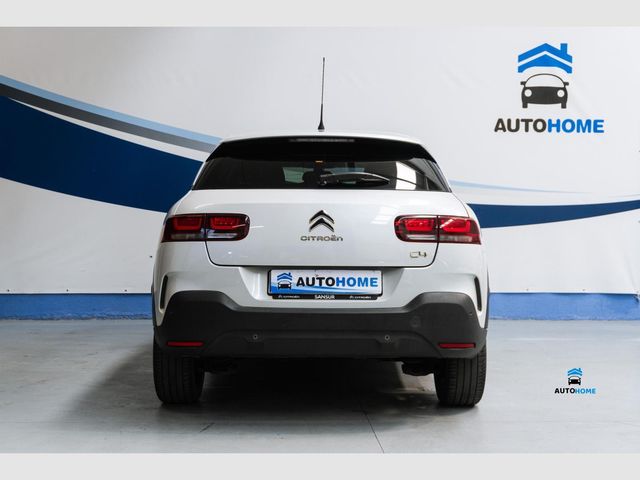 Citroen C4 Cactus PureTech 81KW (110CV) S&S Shine