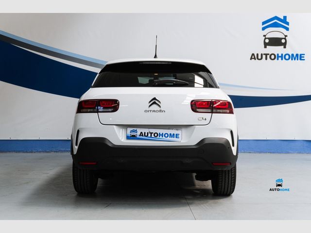 Citroen C4 Cactus PureTech 81KW (110CV) S&S Shine