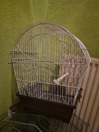 Jaula pájaros blanca