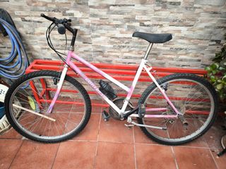 Bicicleta montaña mujer Giant