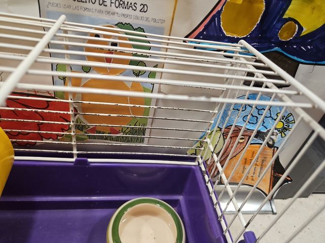 Jaula roedores morada y blanca