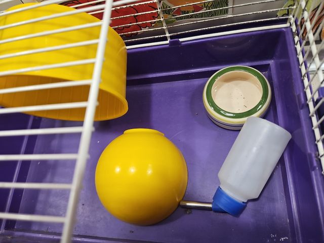 Jaula roedores morada y blanca