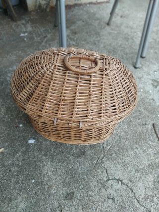 Casita gatos