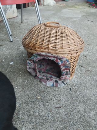 Casita gatos