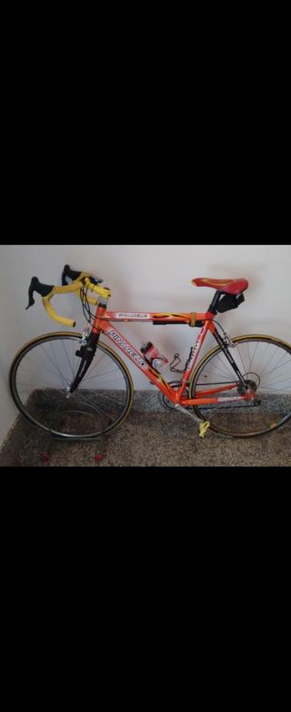 Pinarello Prince M 53 - Bici Corsa