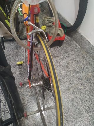 Pinarello Prince M 53 - Bici Corsa