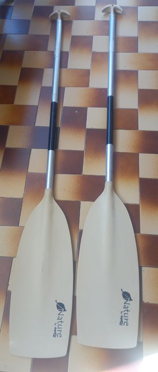 Remos canoa - 2 unidades