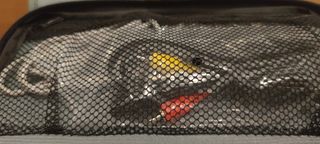 JVC Everio GZ-MG505E - Cámara de Vídeo