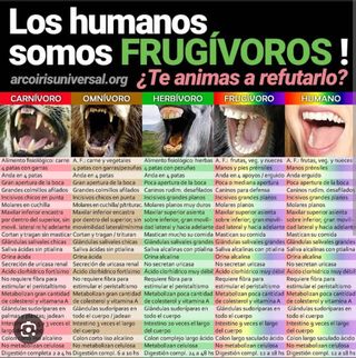 Masajes Detox alimentación Liberación emocional