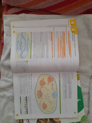 BIOLOGIA Y GEOLOGIA 4ESO