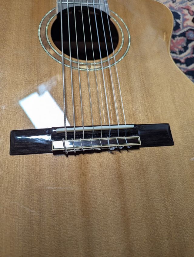 Ortega RCE159-8 Electroclásica