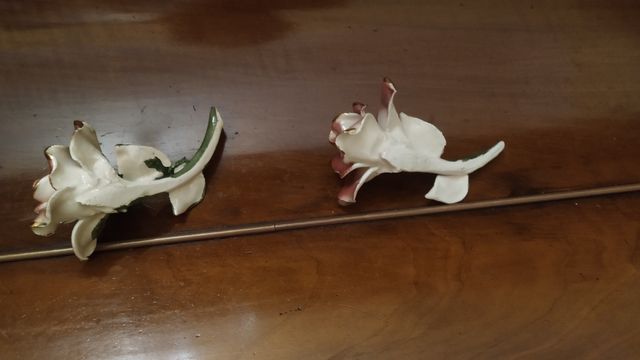 2 Rosas porcelana años 50