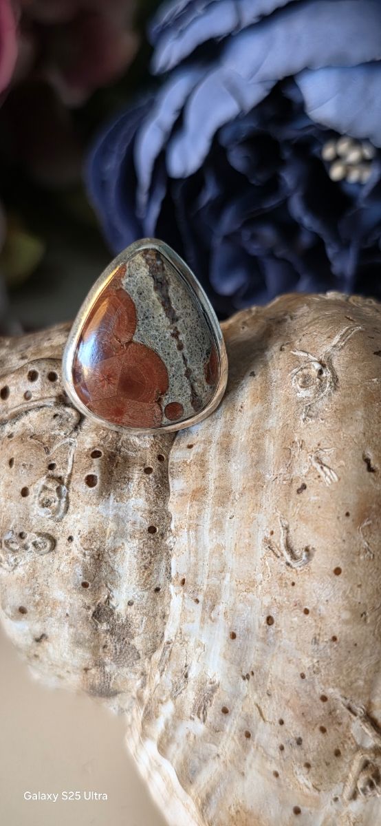 Anillo plata marrón | Talla única