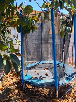 Trampolín infantil 240cm jardín - cama elástica