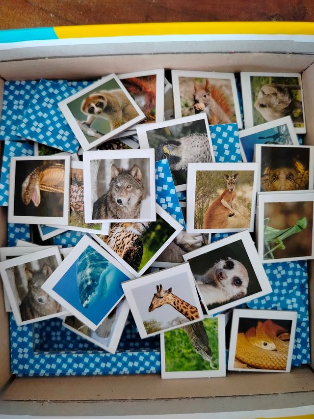 Che...Memoria! Gioco di Memoria 100 tessere