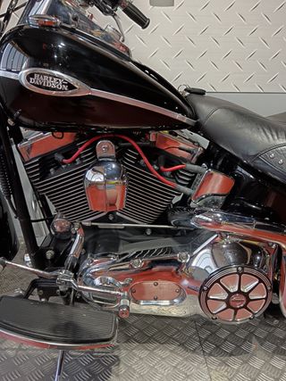 Harley Davidson Springer Classic