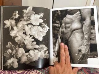 Exotic Nudes