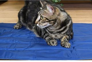 Manta refrescante Musqui M