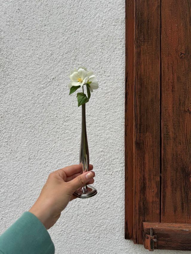 Jarrón plateado metalico