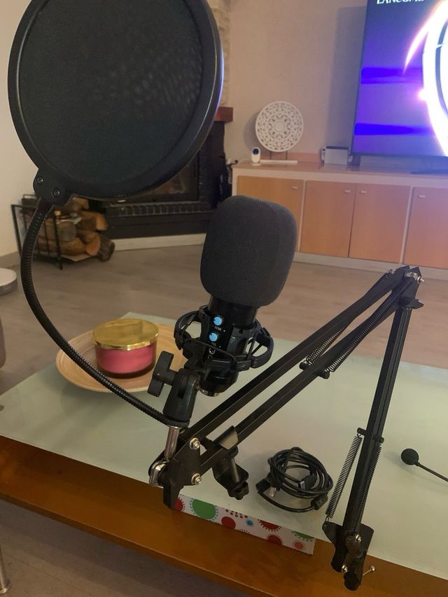 Micrófono condensador profesional