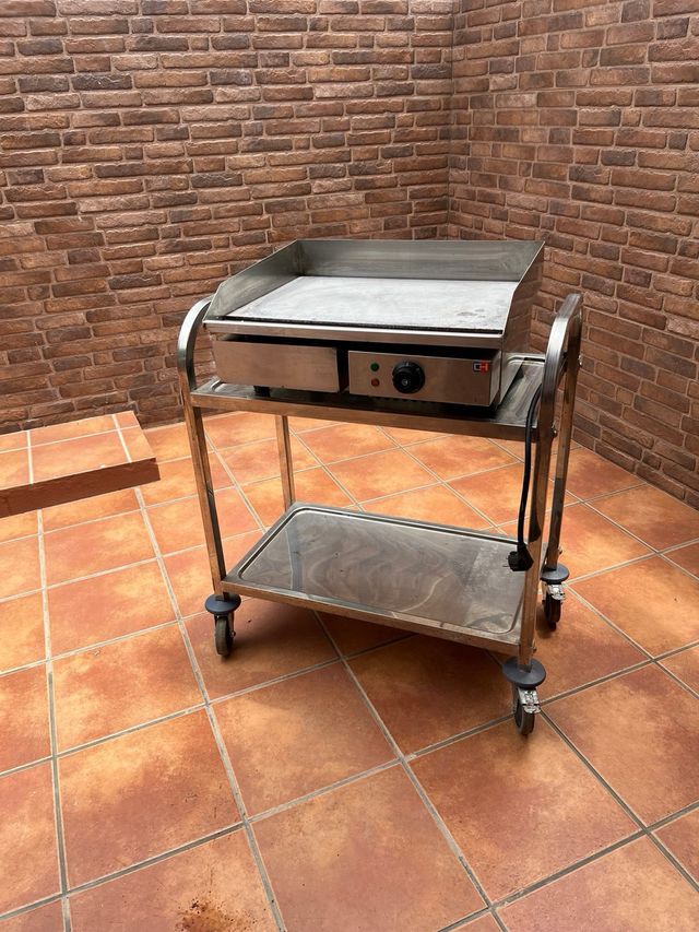 Piastra elettrica professionale, non include tavolo