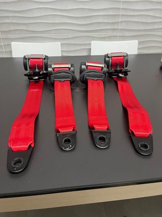 Cinturones personalizados MINI R53/R56